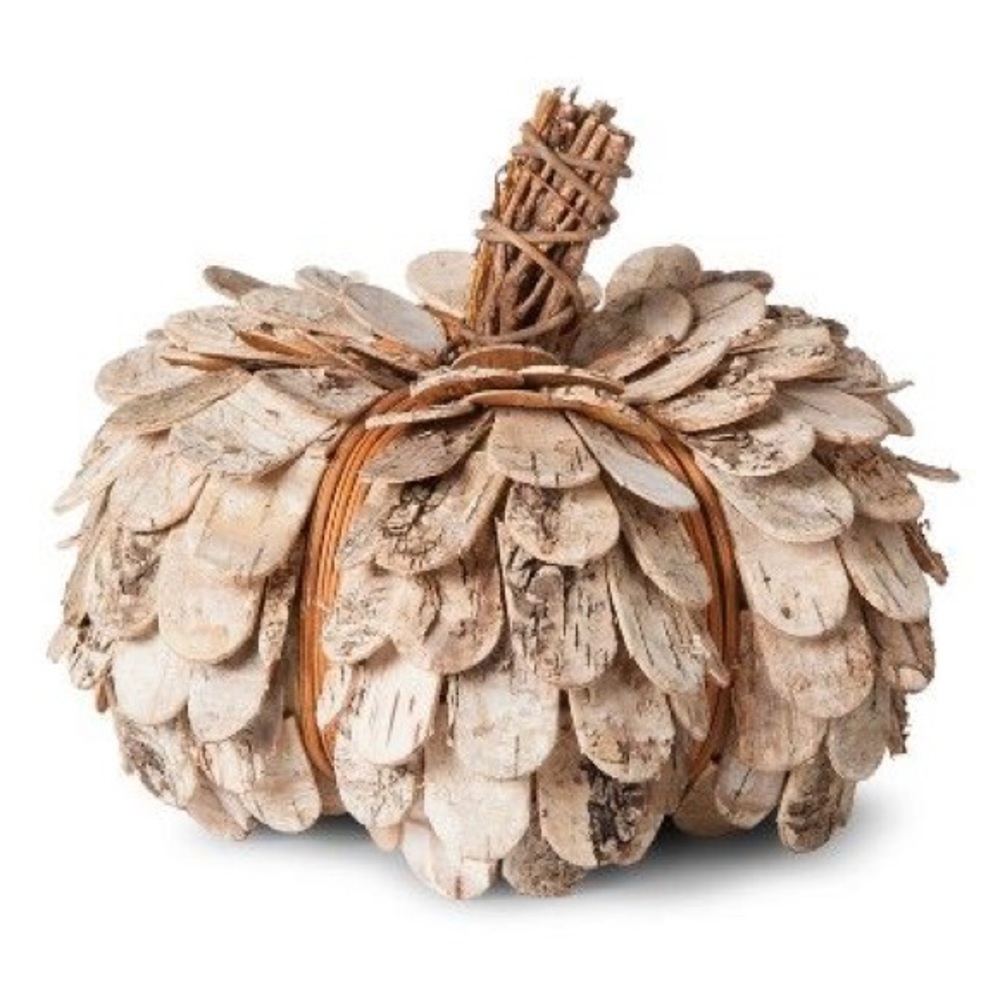 ISO target Smith & hawken birch bark pumpkin